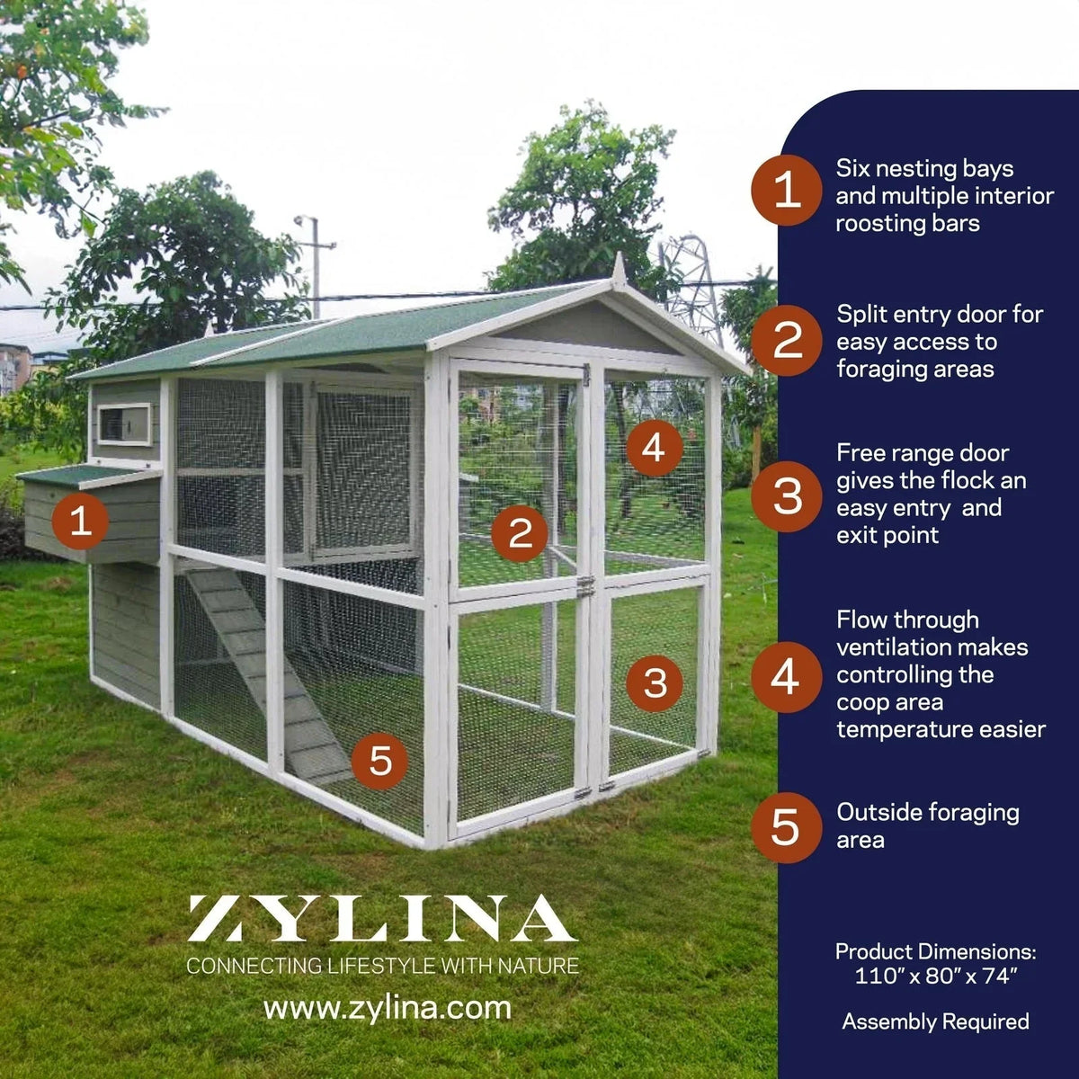 Grande pollaio verde Zylina
