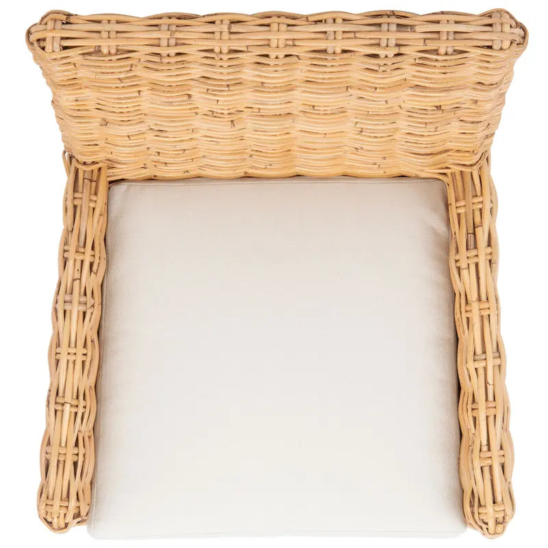 SAFAVIEH Winnifred Poltrona d'Appoggio Costiera in Rattan con Cuscino - 18.5 L x 22.8 P x 38.2 A - 19Lx23Px38A